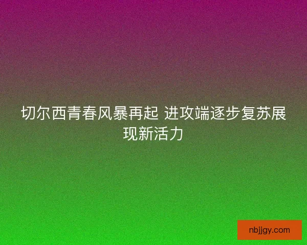 切尔西青春风暴再起 进攻端逐步复苏展现新活力 切尔西青春风暴再起 进攻端逐步复苏展现新活力