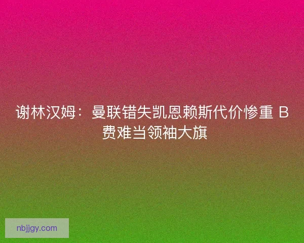 谢林汉姆：曼联错失凯恩赖斯代价惨重 B 费难当领袖大旗