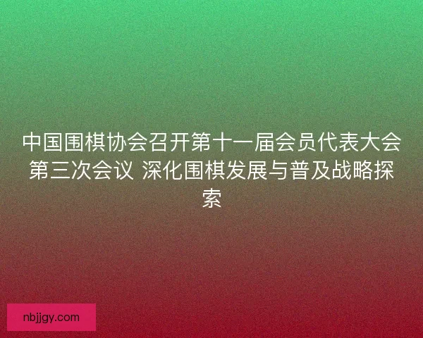 中国围棋协会召开第十一届会员代表大会第三次会议 深化围棋发展与普及战略探索 中国围棋协会召开第十一届会员代表大会第三次会议 深化围棋发展与普及战略探索