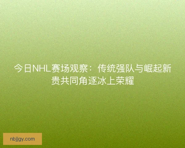 今日NHL赛场观察：传统强队与崛起新贵共同角逐冰上荣耀